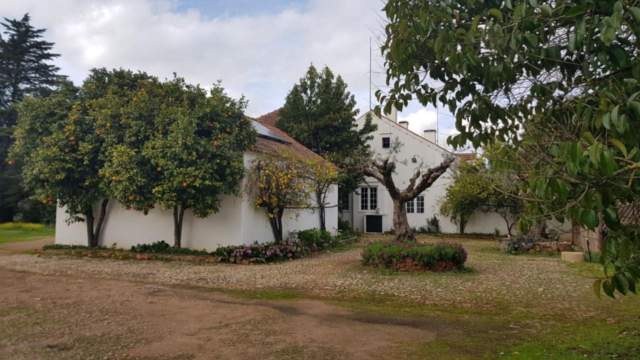 ホテル Quinta Do Cacador エストレモス エクステリア 写真